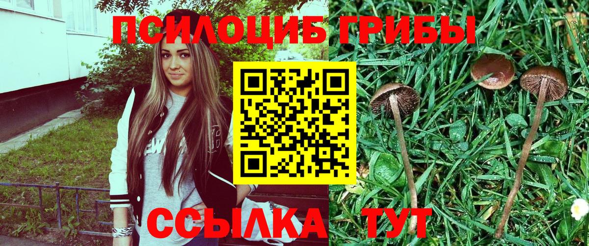 Псилоцибиновые грибы Magic Shrooms Лангепас