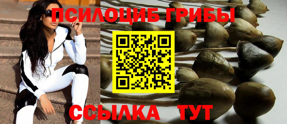 Псилоцибиновые грибы GOLDEN TEACHER  Галлюциногенные грибы MAGIC MUSHROOMS  Лангепас  Вход с VPN 